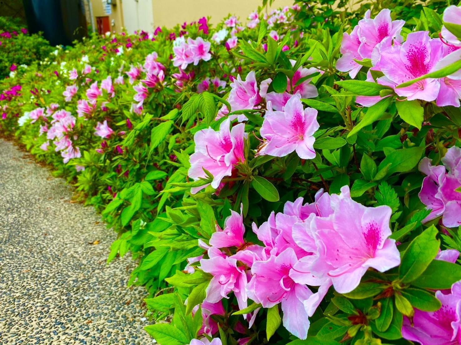 Bekkan Yosanoso Miyazu Esterno foto